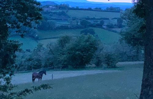 Pet Friendly - 2 Guests - Original Roadsmans Wagon - Foto 14