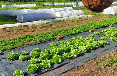 Las Huertas del Abrilongo - Foto 35