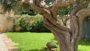 Villa Barbera - Foto 4