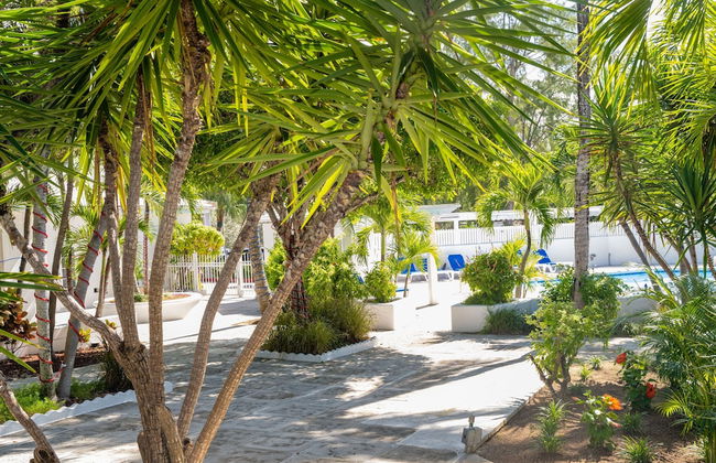 Beach Front Resort On Beautiful Beach Near Atlantis - Foto 40