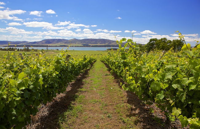 Riversdale Estate Cottages - Foto 36