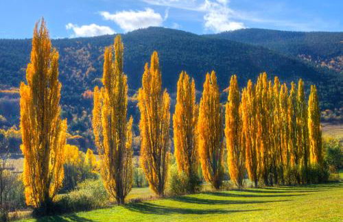 Apartaments El Ribal - Foto 42