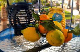 Apartamento de Inés Las Carolinas - Foto 24