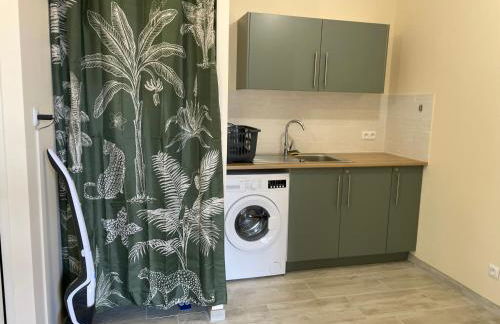 A 15km du Mont-Saint Michel - Foto 14