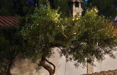 Nada Apartment, Uvala Koramaslinova, Brač - Photo 26