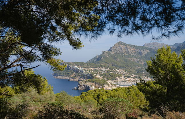 Muleta de Ca S'Hereu Agroturismo - Photo 46