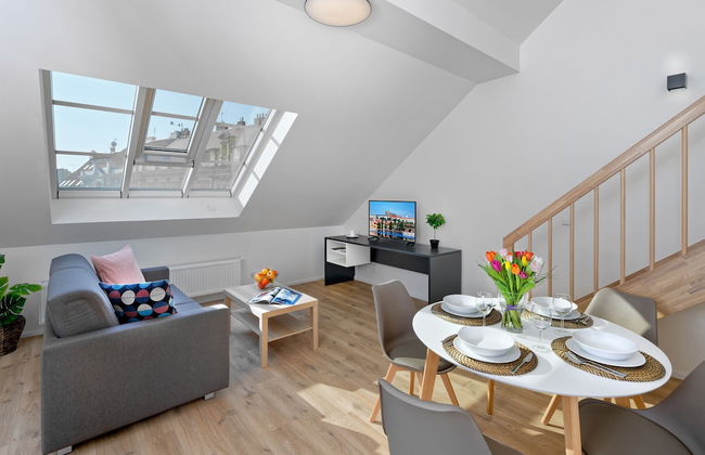 DownTown Suites Jugoslavska - Photo 20