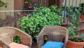 Casa Fiorello - Foto 2, Garden