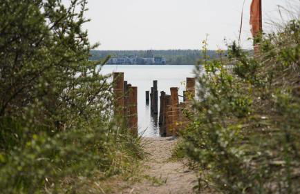 FERIENHAUS am HAINER SEE - Foto 28