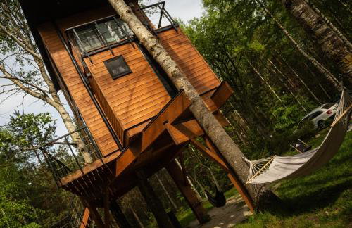 Domek na drzewie - Na Łośmiu Metrach - Foto 37