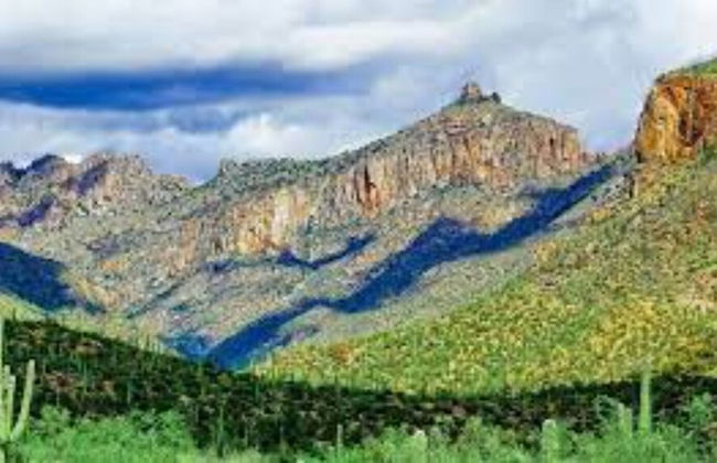 Stampede RV Resort - Photo 39