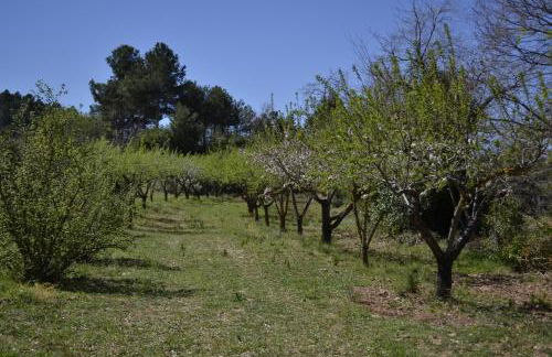 Aaccent Prenafeta Montblanc - Foto 14