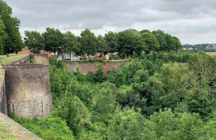 Le Moulin de la Planquette - Foto 34