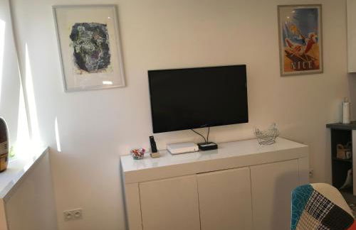 Chouette Massena - Foto 12