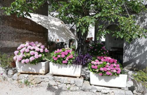 Apartments Renata - Brseč - Foto 53