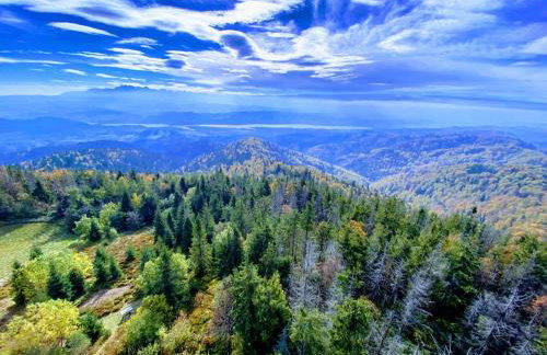 Apartamenty w Maniowach - Foto 7