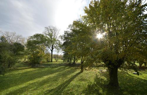 Do Góry Kołami - Foto 54