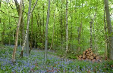 Accommodation at Salomons Estate - Foto 50