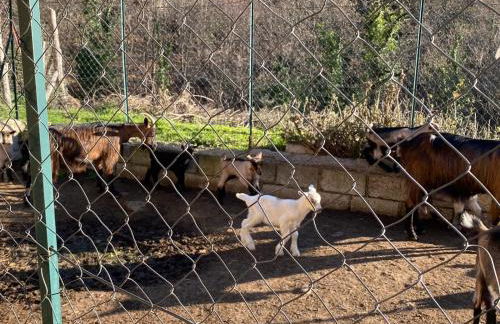 Agriturismo La Pigna - Foto 29