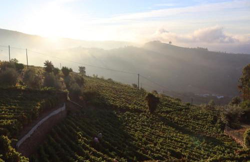 Villa Samaritana - Casa da Vinha - Photo 44