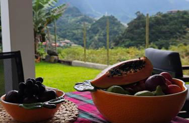 CASA GIRASSOL " uma Janela para o Nascer do Sol " - Foto 25