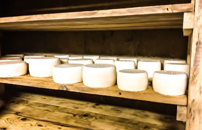 Agriturismo Chevres a Cheval - Foto 73