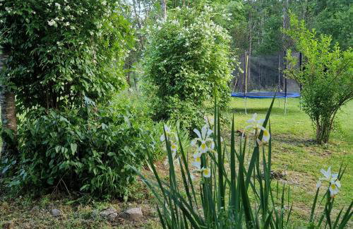 Relaxing Mountain House Poljana in Lika - Foto 55