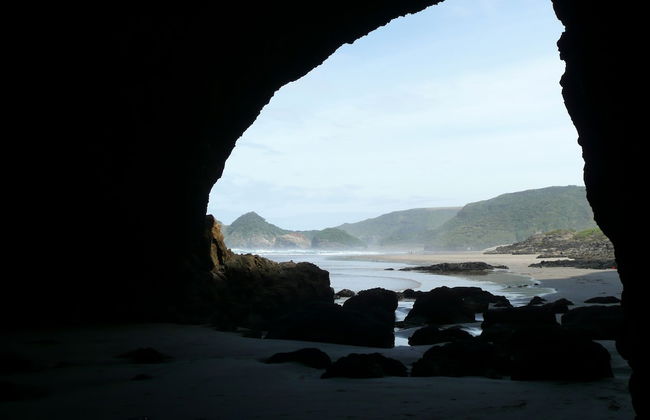 Bethells Beach Cottages - Foto 26