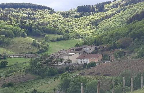 Chambre avec cuisine, vue et piscine privée au cœur du Beaujolais - Foto 14