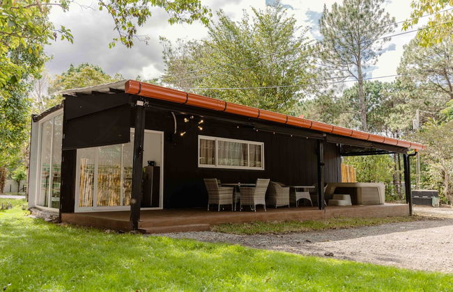 Mangoya Lounge - Photo 42