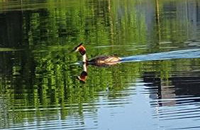 Domki nad zalewm - Foto 13