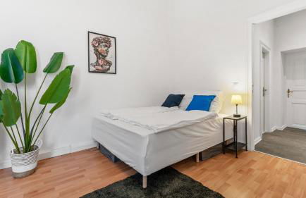 Apartment im Samariterviertel - 120QM - Foto 24