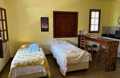 Vale das Quaresmeiras - Foto 72