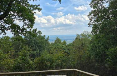 Lula Lake Cabin - Foto 15