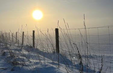 Domek nad stawem - Foto 2