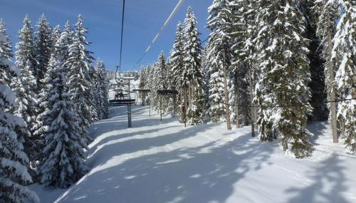 Les Fledd's - Photo 4