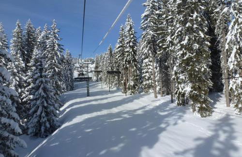 Les Fledd's - Foto 4