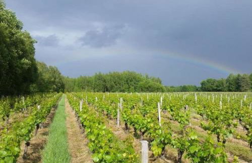 Maison de plain-pied avec parc arboré proche Zoo de Beauval - FR-1-491-335 - Foto 13