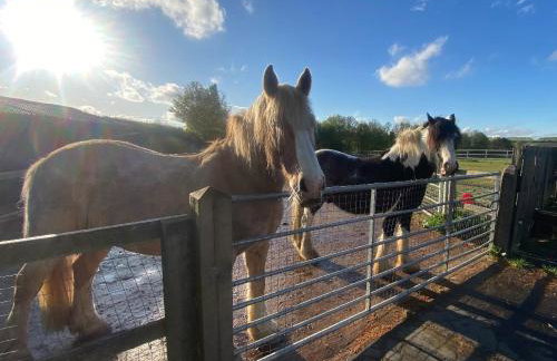 Old Stables - Foto 24