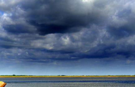 Wattenblick - Foto 28