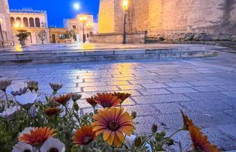 Wine Suite b&b - Foto 78