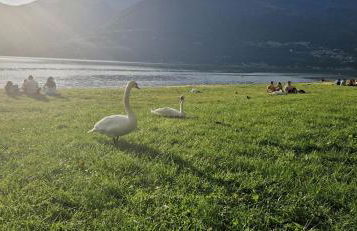 Dany Lodge Lago di Como - Foto 54