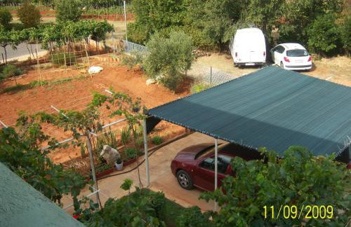 Apartments Cerin - Foto 24