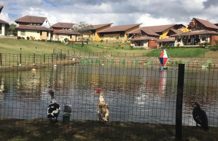 Gravata Apartamento Winterville - Foto 18