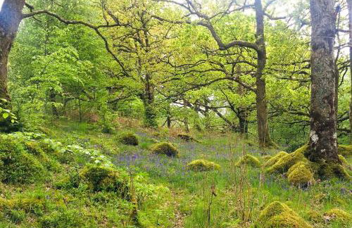 Seal Point Cabin - Luxury Glamping - Foto 32