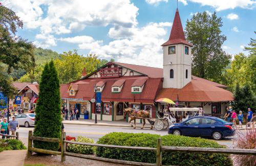 The Bears Den - Foto 24