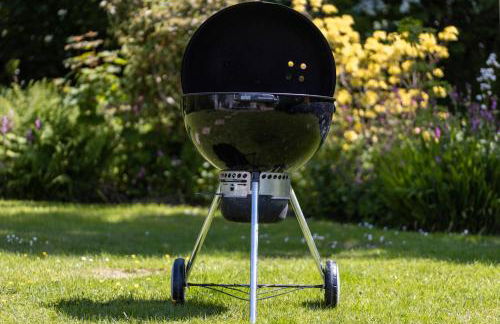 Plas Newydd with Swimming Pool, Fire Pit, and Log Fires - Photo 28