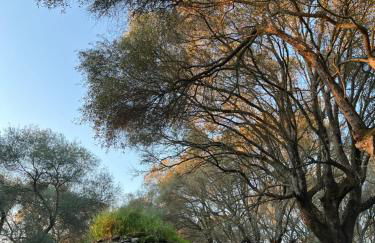 Muristene Pozzo Santa Cristina - Foto 24