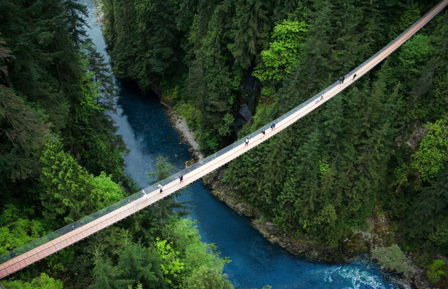 Ticket to Capilano Suspension Bridge Park - Foto 3