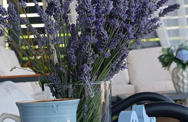 Zen Zone Spirit premium mobile home - Photo 7